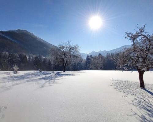 Appartamento Unterwoehrlehen Faistenau Esterno foto