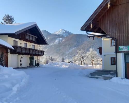 Appartamento Unterwoehrlehen Faistenau Esterno foto